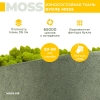 Кресло Робби букле зеленый MOSS 615