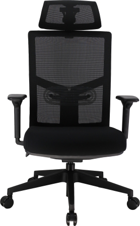 Эргономичное кресло Fuji сетка черный