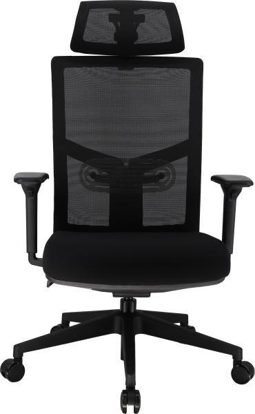 Эргономичное кресло Fuji сетка черный